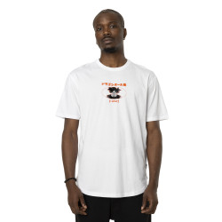 T-shirt en coton homme confort avec print Dragon Ball Super Instinct