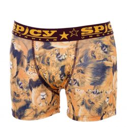 Boxer spicy Homme Lion