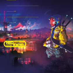 Lot de 5 boxers homme Street Ninja Garantie 2 ans