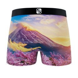 Lot de 3 boxers en polyester recylcé  homme Landscape