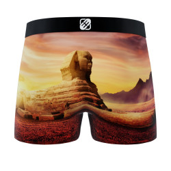 Lot de 3 boxers en polyester recylcé  homme Landscape