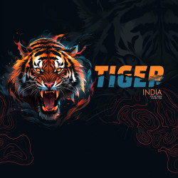 Lot de 4 boxers enfant Wild Animals Garantie 2 ans