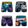Lot de 4 boxers enfant Forever Gamer Garantie 2 ans Lot de 4 boxers enfant Forever Gamer Garantie 2 ans