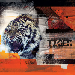 Lot de 3 boxers garçon en polyester recyclé Savage Animals