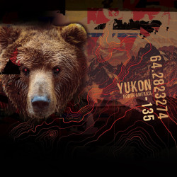 Lot de 4 Boxers garçon en polyester recyclé Animals Savage