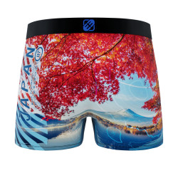 Lot de 6 boxers garçon en polyester recyclé Landscape