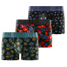 Lot de 3 boxers homme en coton Signature Liberty