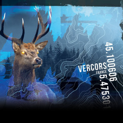 Boxer garçon en polyester recyclé Animail Savage Deer