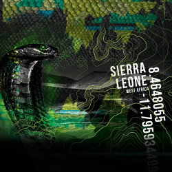 Boxer garçon en polyester recyclé Animail Savage Snake