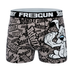 Lot de 3 boxers homme Asterix et Obelix