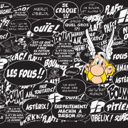 Lot de 4 boxers homme Asterix et Obelix