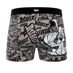 Lot de 4 boxers enfant Asterix