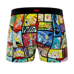 Lot de 4 boxers enfant Asterix