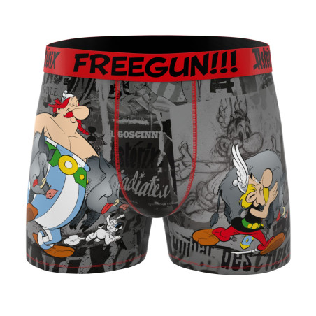 Lot de 4 boxers enfant Asterix