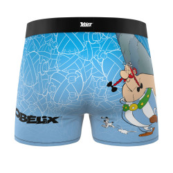Lot de 4 boxers enfant Asterix