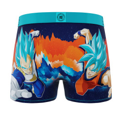 Lot de 3 boxers enfant Dragon Ball Super Beerus Goku Vegeta Vegeto