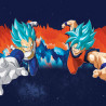 Lot de 3 boxers enfant Dragon Ball Super Beerus Goku Vegeta Vegeto