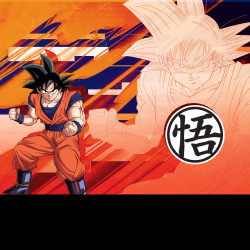 Lot de 3 boxers homme Dragon Ball Z