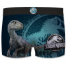 Lot de 4 Boxers homme Jurassic World Lot de 4 Boxers homme Jurassic World