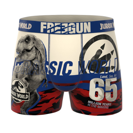 Lot de 4 boxers enfant Jurassic