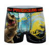 Lot de 4 boxers enfant Jurassic