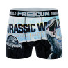 Lot de 4 boxers enfant Jurassic