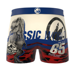 Lot de 4 boxers enfant Jurassic
