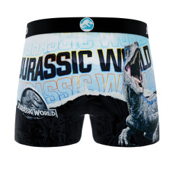 Lot de 4 boxers enfant Jurassic