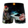 Lot de 4 boxers enfant Jurassic