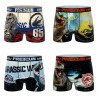 Lot de 4 boxers enfant Jurassic