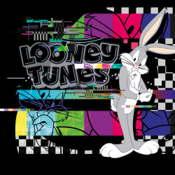 Lot de 4 boxers enfant Looney Tunes