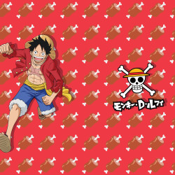 Lot de 3 Boxers enfant One piece