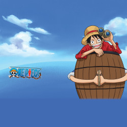 Lot de 5 boxers enfant One Piece