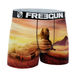 Boxer garçon Landscape Sphinx