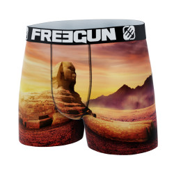 Boxer garçon Landscape Sphinx