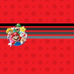 Lot de 3 boxers homme Super Mario Bros