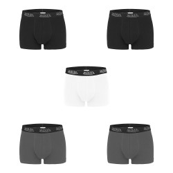 Lot de 5 boxers en coton
