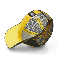 Casquette trucker avec filet DC Comics Batman