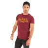 T-shirt col rond homme en coton Slim Fit Life