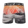 Lot de 5 boxers homme Garantie 2 ans California Vibes