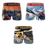 Lot de 3 boxers junior collection Vintage Winter