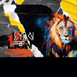 Lot de 3 boxers junior collection Pop Art Animals