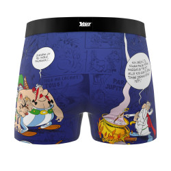 Lot de 4 boxers junior Asterix