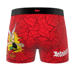 Lot de 4 boxers junior Asterix
