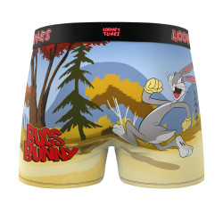 Lot de 4 boxers homme Looney Tunes