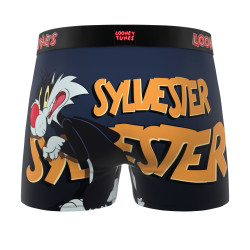 Lot de 3 boxers junior Looney Tunes
