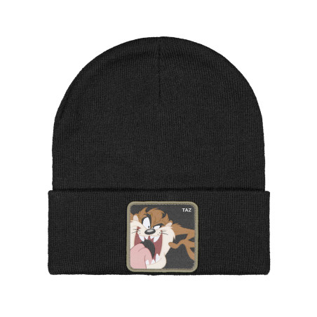Bonnet homme Taz1