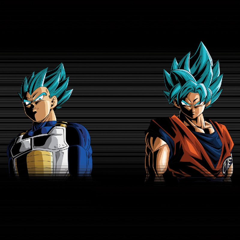 Boxer garçon Dragon Ball Super Blo