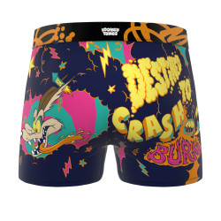 Lot de 4 boxers homme Looney Tunes , Collection 19