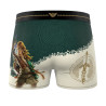 Lot de 4 boxers homme Zelda